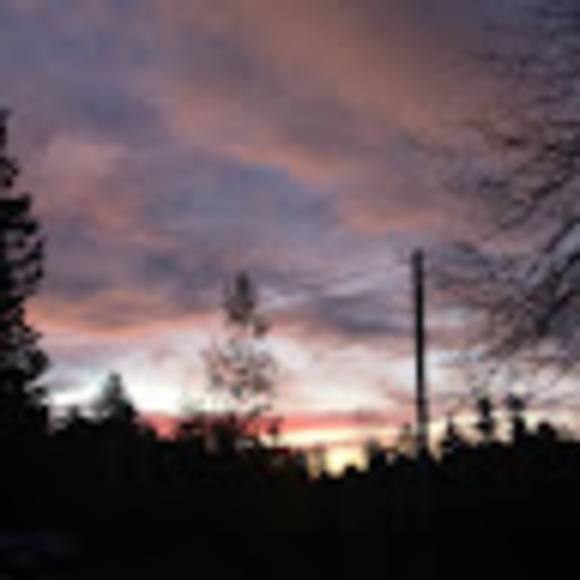 Meet your Posher, Summer - Picture 1 of 1